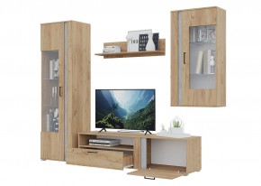 Гостиная Омега (Крафт золотой-Бетон) в Ишиме - ishim.mebel24.online | фото 4