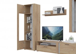 Гостиная Омега (Крафт золотой-Бетон) в Ишиме - ishim.mebel24.online | фото 5