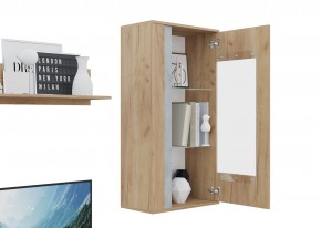 Гостиная Омега (Крафт золотой-Бетон) в Ишиме - ishim.mebel24.online | фото 6