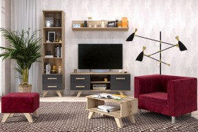 Гостиная Вега Скандинавия (комплект 5) в Ишиме - ishim.mebel24.online | фото