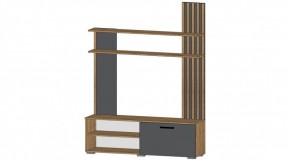 КАРОЛИНА Гостиная в Ишиме - ishim.mebel24.online | фото 5