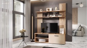 КАРОЛИНА Гостиная (дуб вотан/кашемир) в Ишиме - ishim.mebel24.online | фото