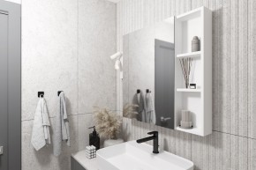 Кларити Шкаф зеркальный 16.312.03 в Ишиме - ishim.mebel24.online | фото