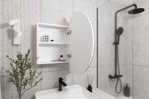 Кларити Шкаф зеркальный 16.312.04 в Ишиме - ishim.mebel24.online | фото 2