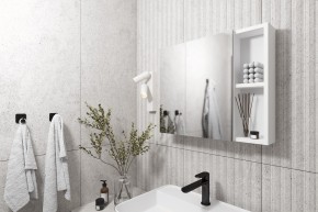 Кларити Шкаф зеркальный 16.312.07 в Ишиме - ishim.mebel24.online | фото