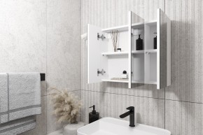Кларити Шкаф зеркальный 16.312.08 в Ишиме - ishim.mebel24.online | фото 2