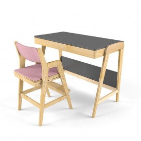 Комплект растущий стол и стул с чехлом 38 попугаев «Вуди» (Серый, Береза, Розовый) в Ишиме - ishim.mebel24.online | фото