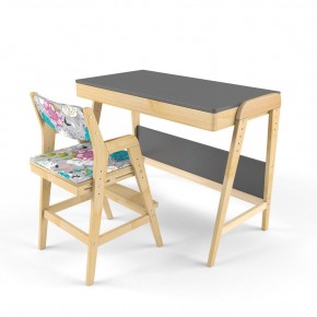 Комплект растущий стол и стул с чехлом 38 попугаев «Вуди» (Серый, Без покрытия, Мечта) в Ишиме - ishim.mebel24.online | фото 1