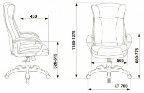 Кресло для руководителя Бюрократ CH-879N в Ишиме - ishim.mebel24.online | фото