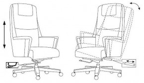 Кресло для руководителя Бюрократ _DUKE в Ишиме - ishim.mebel24.online | фото 8