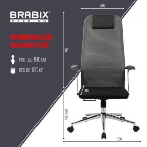 Кресло офисное BRABIX PREMIUM "Ultimate EX-801" хром, плотная двойная сетка Х2, черное/серое, 532918 в Ишиме - ishim.mebel24.online | фото 5