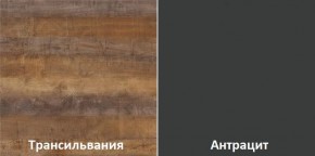 Кухонный гарнитур угловой Трансильвания 2600х1600 мм (Стол. 38 мм) в Ишиме - ishim.mebel24.online | фото 3