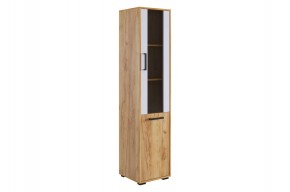 ЛАЙТ 2 Стеллаж (дуб крафт золотой) в Ишиме - ishim.mebel24.online | фото