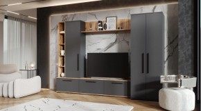 ЛЕВАНТЕ Гостиная в Ишиме - ishim.mebel24.online | фото