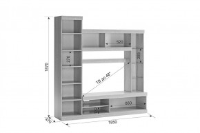 МАКСИ К1 Стенка для гостиной дуб сонома/белое дерево в Ишиме - ishim.mebel24.online | фото 1