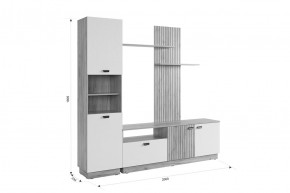 МОДИ Гостиная (модульная) белое дерево в Ишиме - ishim.mebel24.online | фото 2