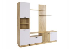 МОДИ К1 Гостиная (белое дерево) в Ишиме - ishim.mebel24.online | фото 6