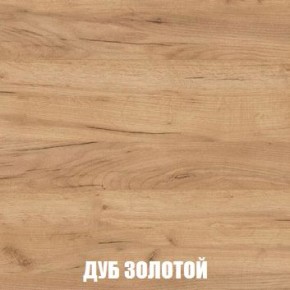 МСП-1 Шкаф 2-х створчатый (Дуб Золотой/Камень темный) в Ишиме - ishim.mebel24.online | фото 4