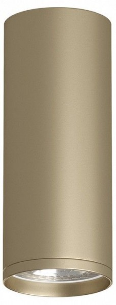 Накладной светильник Denkirs TUBE DK2051-SG в Ишиме - ishim.mebel24.online | фото 1
