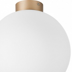 Накладной светильник Lightstar Globo 812033 в Ишиме - ishim.mebel24.online | фото 2