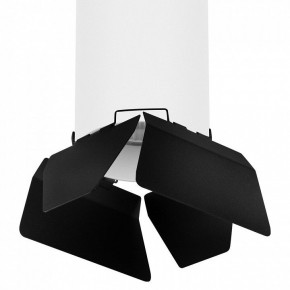 Накладной светильник Lightstar Rullo R6496487 в Ишиме - ishim.mebel24.online | фото 2
