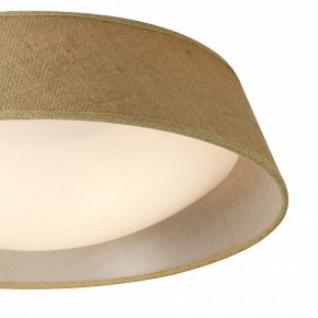 Накладной светильник Mantra Sabina 6413 в Ишиме - ishim.mebel24.online | фото 3