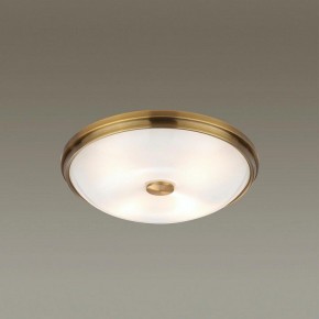 Накладной светильник Odeon Light Pelow 4956/4 в Ишиме - ishim.mebel24.online | фото 2