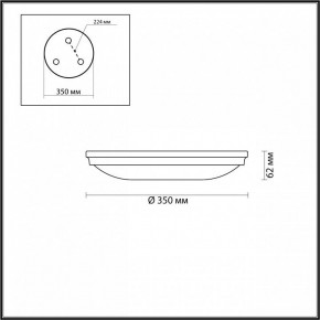 Накладной светильник Odeon Light Pelow 4956/4 в Ишиме - ishim.mebel24.online | фото 3
