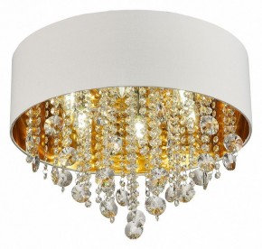 Накладной светильник ST-Luce Lacchia SL1350.502.06 в Ишиме - ishim.mebel24.online | фото 3