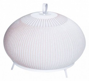 Настольная лампа декоративная Divinare Firefly 1808/33 TL-50 в Ишиме - ishim.mebel24.online | фото