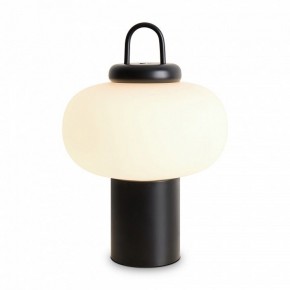 Настольная лампа декоративная Freya Take FR6175TL-L10B в Ишиме - ishim.mebel24.online | фото
