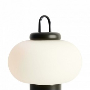 Настольная лампа декоративная Freya Take FR6175TL-L10B в Ишиме - ishim.mebel24.online | фото 5
