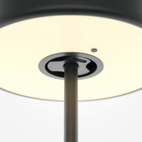 Настольная лампа декоративная Maytoni AI Collaboration MOD229TL-L3B3K2 в Ишиме - ishim.mebel24.online | фото 5