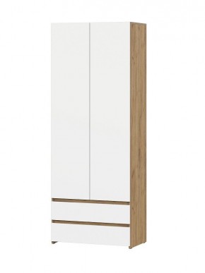 НЕКСТ 1 Шкаф двухстворчатый с ящиками в Ишиме - ishim.mebel24.online | фото