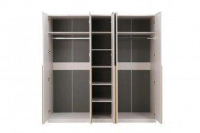 НИКОЛЬ 25 Шкаф 5-ти створчатый в Ишиме - ishim.mebel24.online | фото 3