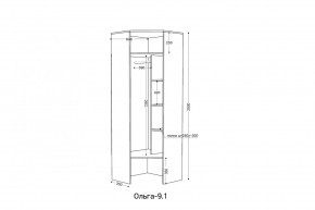 ОЛЬГА 9.1 Шкаф угловой без зеркала в Ишиме - ishim.mebel24.online | фото 2