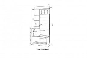 ОЛЬГА-МИЛК 1 Прихожая в Ишиме - ishim.mebel24.online | фото 2