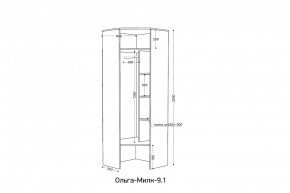 ОЛЬГА-МИЛК 9.1 Шкаф угловой без зеркала в Ишиме - ishim.mebel24.online | фото 2