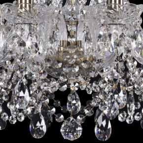 Подвесная люстра Bohemia Ivele Crystal 1411 1411/10/195/Pa в Ишиме - ishim.mebel24.online | фото 3