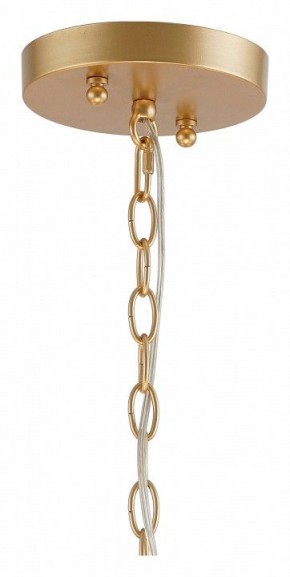 Подвесная люстра Favourite Mateo 2634-8P в Ишиме - ishim.mebel24.online | фото 12