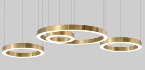 Подвесной светильник Imperiumloft Light Ring Horizontal 40,1454 в Ишиме - ishim.mebel24.online | фото 3