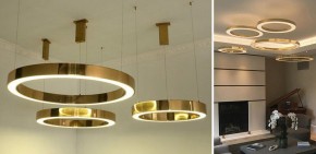 Подвесной светильник Imperiumloft Light Ring Horizontal 40.1454-60 в Ишиме - ishim.mebel24.online | фото