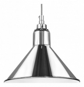 Подвесной светильник Lightstar Loft 765024 в Ишиме - ishim.mebel24.online | фото 2