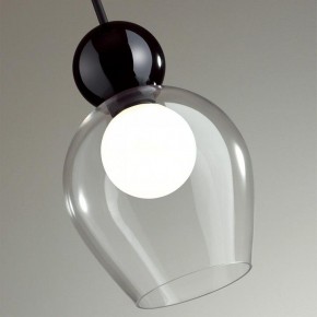 Подвесной светильник Odeon Light Blacky 2 5023/1 в Ишиме - ishim.mebel24.online | фото 6