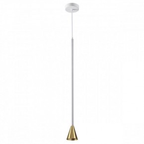 Подвесной светильник Odeon Light Pipa 3884/1GW в Ишиме - ishim.mebel24.online | фото 2