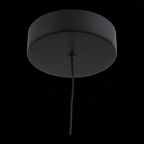 Подвесной светильник ST-Luce Bisaria SL393.403.01 в Ишиме - ishim.mebel24.online | фото 8