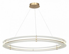 Подвесной светильник ST-Luce FAGY SL6245.213.01 в Ишиме - ishim.mebel24.online | фото 4