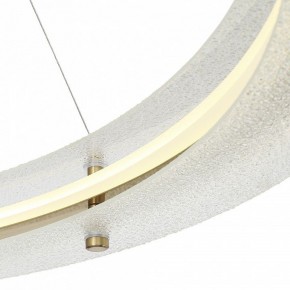 Подвесной светильник ST-Luce FAGY SL6245.213.01 в Ишиме - ishim.mebel24.online | фото 6