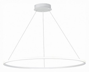 Подвесной светильник ST-Luce ST604 OUT ST604.543.57 в Ишиме - ishim.mebel24.online | фото 3