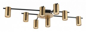 Потолочная люстра Favourite Topper 2827-8P в Ишиме - ishim.mebel24.online | фото 2